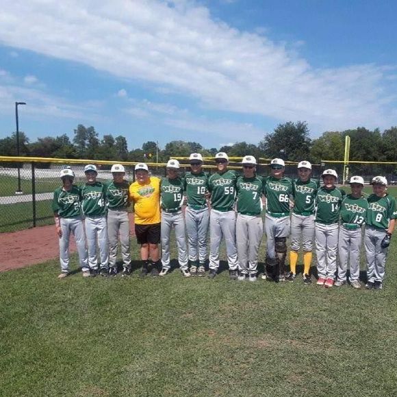 Meet your Posher, Logan - Picture 1 of 1